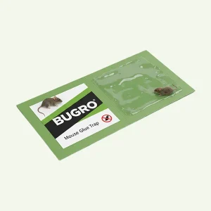 Mouse-Glue-Trap